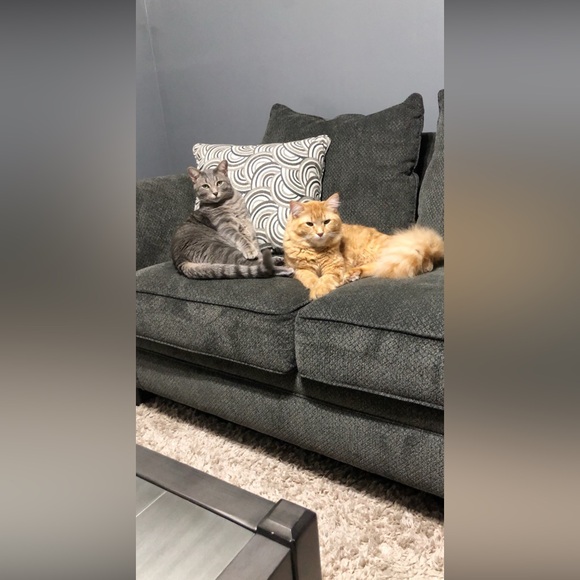 Meet your Posher, Jennifer - Picture 4 of 4